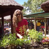 Green Fingers nursery